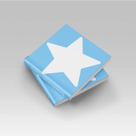 Cowboy Carter Tourbook